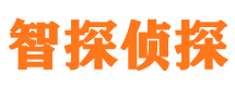 临渭外遇调查取证